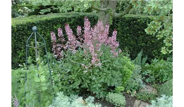 Gartenbaumschule Becker