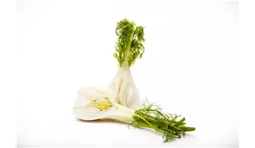 Gartenbaumschule Becker