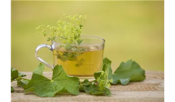 Gartenbaumschule Becker