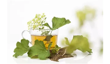 Gartenbaumschule Becker