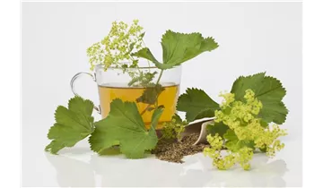 Gartenbaumschule Becker