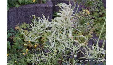 Gartenbaumschule Becker