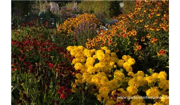 Gartenbaumschule Becker