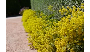 Gartenbaumschule Becker