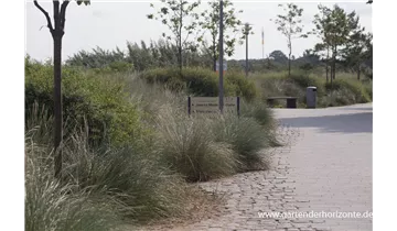 Gartenbaumschule Becker