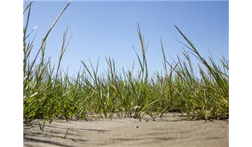 Gartenbaumschule Becker