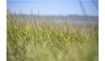 Gartenbaumschule Becker