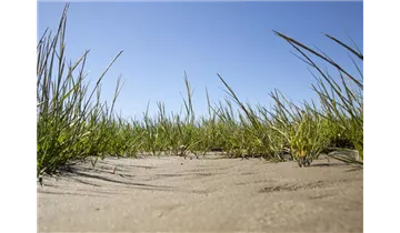 Gartenbaumschule Becker