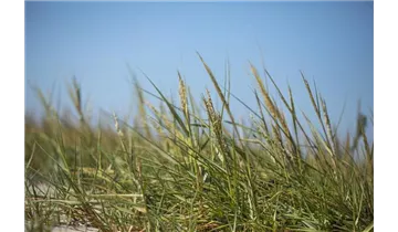 Gartenbaumschule Becker