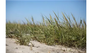 Gartenbaumschule Becker