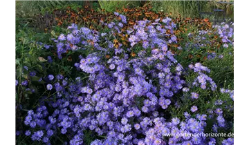 Gartenbaumschule Becker