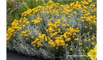 Gartenbaumschule Becker