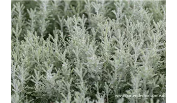 Gartenbaumschule Becker