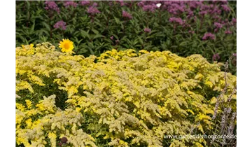 Gartenbaumschule Becker