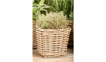 Gartenbaumschule Becker