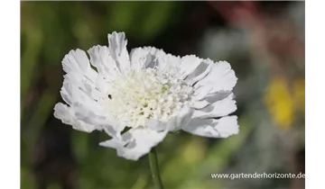 Gartenbaumschule Becker
