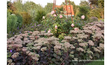 Gartenbaumschule Becker