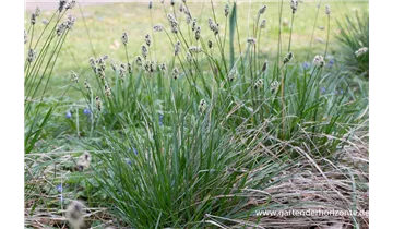 Gartenbaumschule Becker