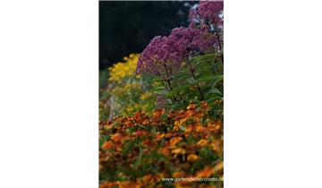 Gartenbaumschule Becker