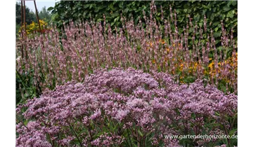 Gartenbaumschule Becker