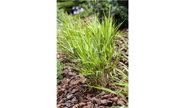 Gartenbaumschule Becker