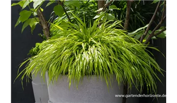 Gartenbaumschule Becker