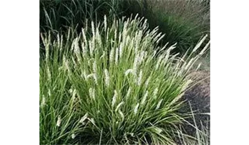 Gartenbaumschule Becker