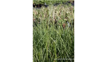 Gartenbaumschule Becker