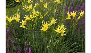 Gartenbaumschule Becker