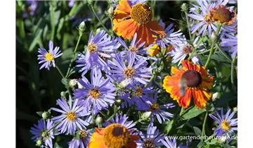 Gartenbaumschule Becker