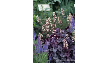 Gartenbaumschule Becker