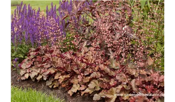 Gartenbaumschule Becker