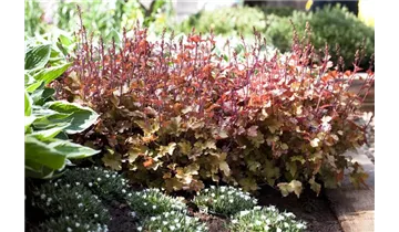 Gartenbaumschule Becker