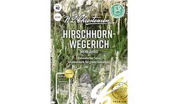Bildvorschau