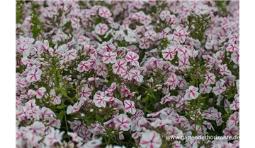 Gartenbaumschule Becker