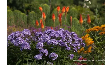Gartenbaumschule Becker