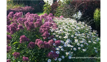 Gartenbaumschule Becker