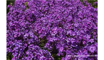 Gartenbaumschule Becker