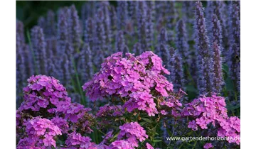 Gartenbaumschule Becker