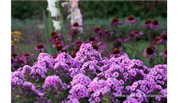 Gartenbaumschule Becker