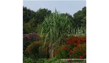 Gartenbaumschule Becker