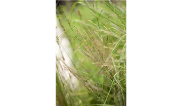 Gartenbaumschule Becker