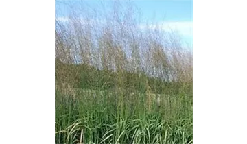 Gartenbaumschule Becker