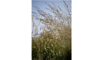 Gartenbaumschule Becker