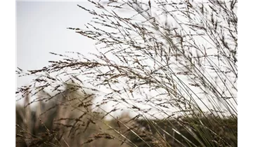 Gartenbaumschule Becker