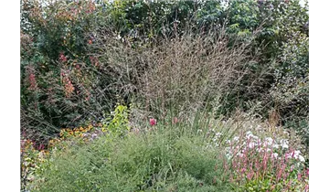 Gartenbaumschule Becker