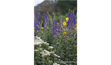 Gartenbaumschule Becker