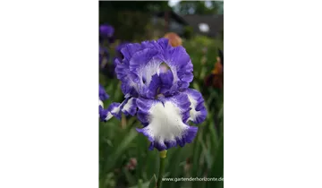 Gartenbaumschule Becker