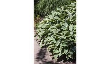 Gartenbaumschule Becker