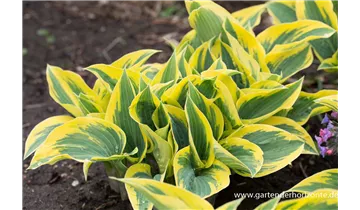 Gartenbaumschule Becker